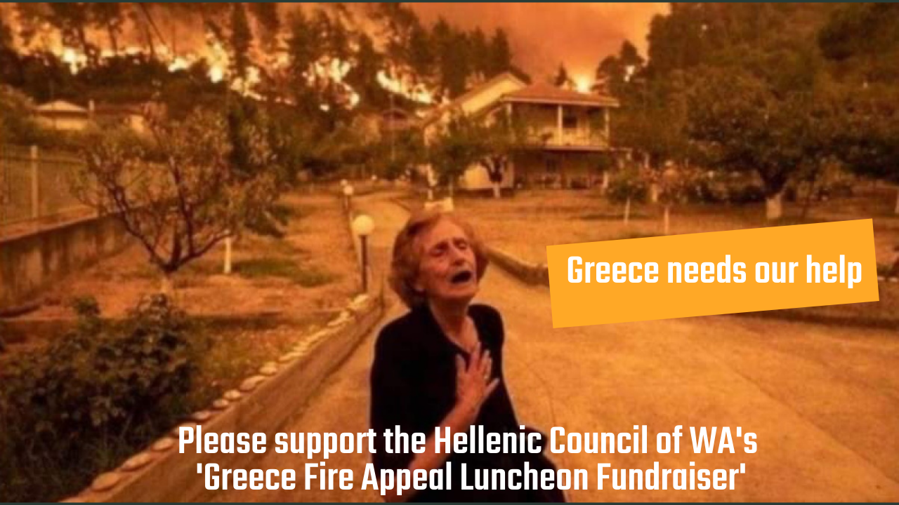 Fires Crisis Hub